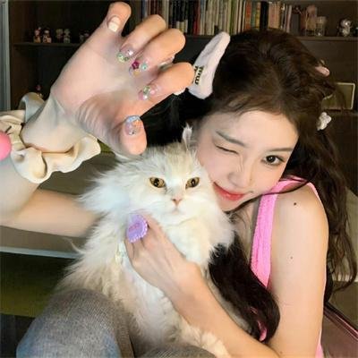 动漫天地